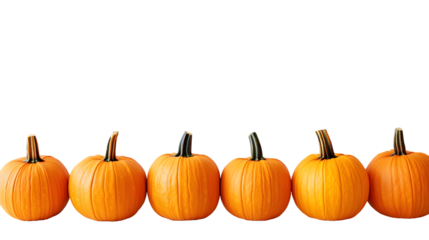 pumpkin patch isolated on a transparent background