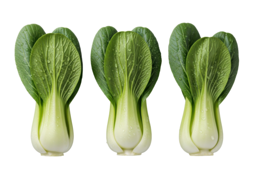 Three pristine baby bok choy with vibrant green leaves, crisp white stems, water droplets, and sea salt, arranged on a transparent studio background, premium produce food photography concept