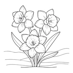 Obraz premium Three daffodils in a field outline drawing for coloring