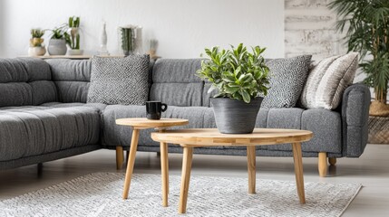 Obraz premium two wooden coffee tables with plant in pot in front of grey corner sofa in fashionable living room interior no logos no brands ar 169