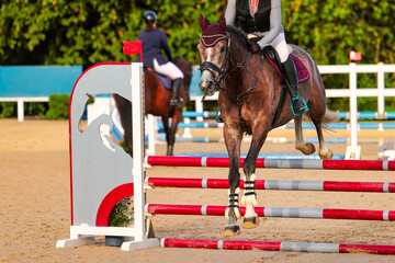 Horse, show jumper jumping over an obstacle.