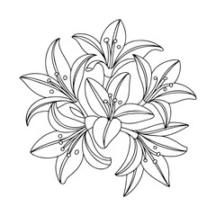 Vector illustration of lily - Cute & Cozy Coloring Book for Relaxation and Creativity. Easy, line art vector illustration, Coloring Pages for Kids & Adults