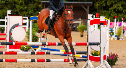Horse, show jumper jumping over an obstacle.