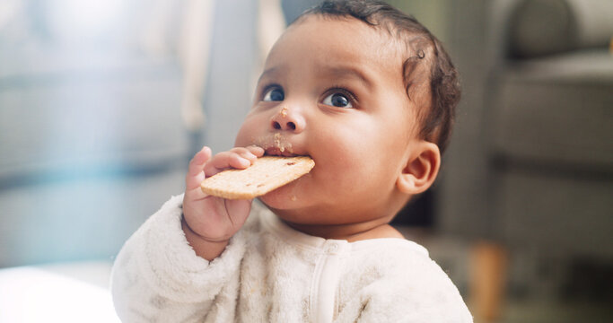Food, cute and cookie with baby in home for teething biscuit, nutrition and calcium snack for growth. Eating, weaning rusk and healthy diet with hungry kid in living room of house for development