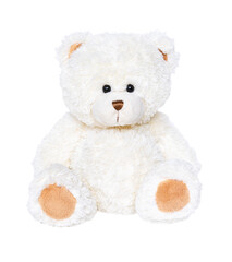 White teddy bear isolated on white background