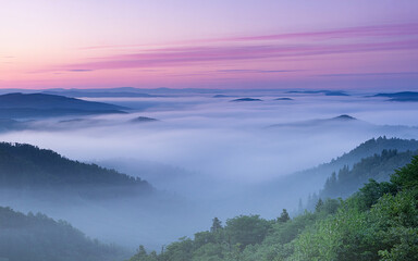 Obraz premium Misty mountain valley at sunrise with purple and pink sky