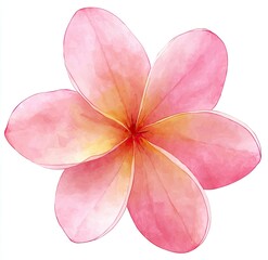 Delicate, watercolor-style pink flower