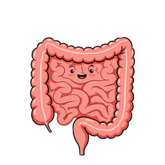 Happy Gut: A Cartoon Illustration of the Human Intestine