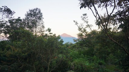 Twilight landscape featuring Mount Cikuray from Mount Papandayan, framed by silhouettes of tropical trees