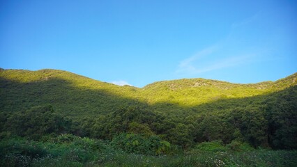 Naklejka premium Scenic view of Mount Papandayan covered with lush green forest under a bright blue sky