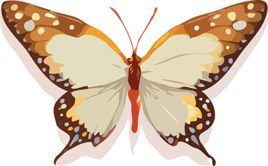 Butterfly vector illustration