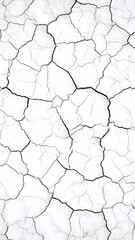White Cracked Surface Texture with Brown Lines