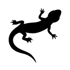 Lizard Silhouette