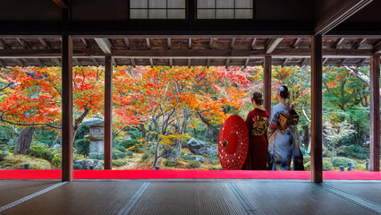 Japanese Woman in Traditional Kimono Dress at Enko-ji temple with beautiful foliage in autumn in...