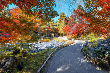 Scenic view of Hogon-in Temple with beautiful foliage in autumn in Kyoto, Japan
