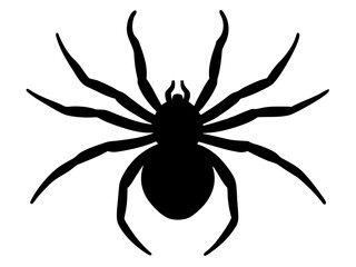 A spider  black silhouette vector,Halloween spider icon