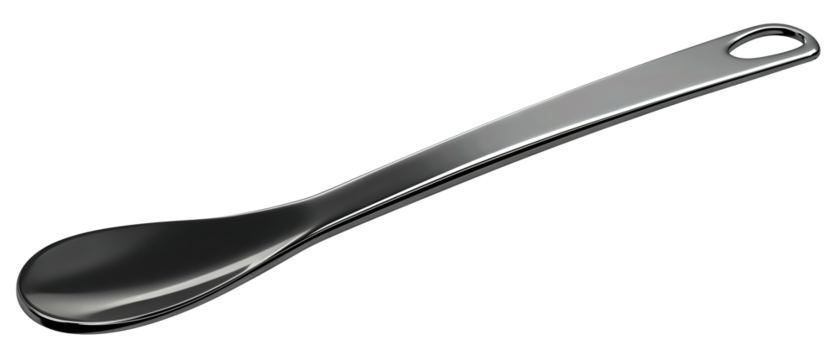 Metal shoe horn with long smooth spoon shape, gentle curve and hanging hole, satin finish, isolated on transparent background.
