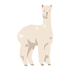Obraz premium Alpaca vector illustration. Livestock, farm animal concept. Flat vector style, geometric shape.