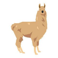 Llama vector illustration. Farm, domestic animal concept. Flat vector style, geometric shape.