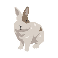 Rabbit vector illustration. Pet, farm animal concept. Flat vector style, geometric shape.