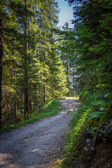 Hiking near Pianozes lake - Cortina d'Ampezzo - Italy