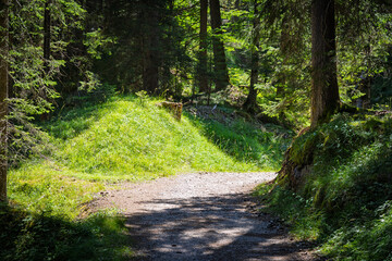 Fototapeta premium Hiking near Pianozes lake - Cortina d'Ampezzo - Italy