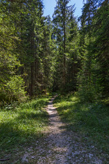 Hiking near Pianozes lake - Cortina d'Ampezzo - Italy