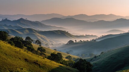 Misty Green Hills and Foggy Landscape at Sunrise.