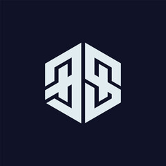 Modern hexagonal BS logo, ideal for innovative technology and IT companies. It represents strong and interconnected digital solutions