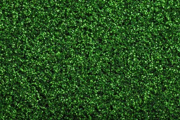 Dense green foliage wall texture