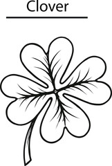 Hand Drawn Clover Leaf Vector Illustration – Botanical Line Art Design