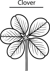 Hand Drawn Clover Leaf Vector Illustration – Botanical Line Art Design
