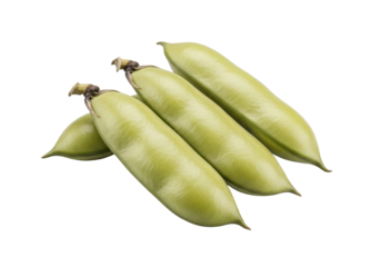 Three dry, flat fava bean pods with intricate textures, neatly stacked on a transparent studio background with soft lighting, close-up macro lens effect, concept for commercial food photography