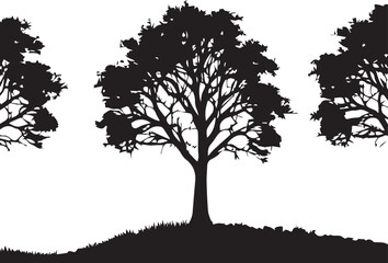 Fototapeta premium tree silhouette Vector | Minimalist & Trendy tree Silhouette Design | Unique & Stylish tree Artwork for Vector design