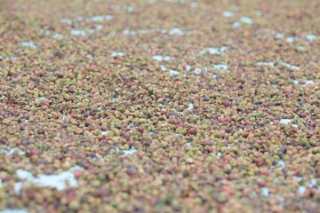 close up coffe beans