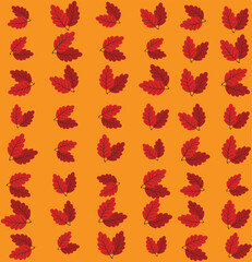 Hand drawn seamless pattern with fallen autumn leaves of various type and color on white background. Autumnal backdrop with colorful foliage. Vector illustration for textile print, wrapping paper.