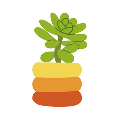 House plants in pots. Collection of beautiful succulent in colorful pots . Flat colorful vector aloe, cacti, geranium , home decoration isolate on white .