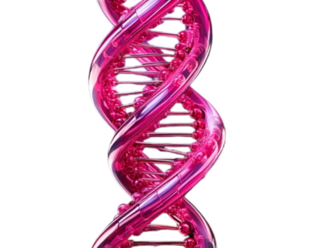 Angled Perspective Pink DNA Strand with Twisting Motion, isolated on transparent background PNG