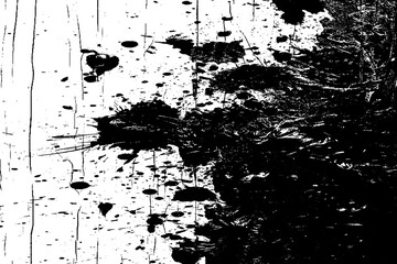 Dynamic black ink splatter on a white background. Grungy abstract brush stroke with messy paint splash effect for design