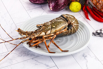 Raw wild fresh spiny lobster
