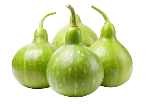 Calabash Fruit isolated on white background