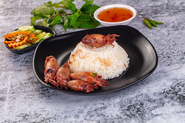 Tasty baby swuid with rice