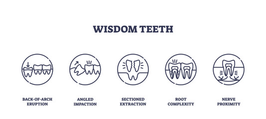 Obraz premium Wisdom teeth icons outline shows different extraction scenarios with teeth, arrows, and jawbone, illustrating dental issues. Outline icons set