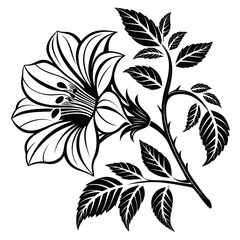 black and white flowers