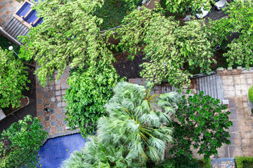 high angle view of trees in the wind