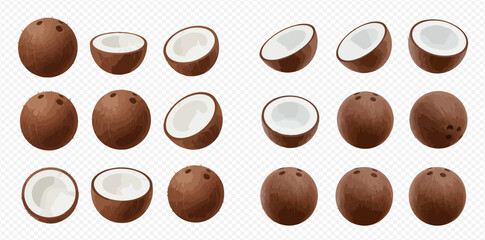 Collection of whole and halved coconuts in various orientations, showcasing their brown husks and white interiors.