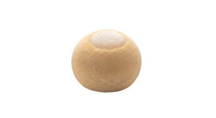 Closeup of a beige bath bomb isolated on transparent background, offering a spalike experience with its aromatic and therapeutic properties