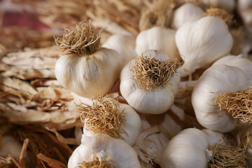 Bulbs of garlic on display at a local market