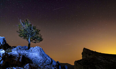 Lonely tree and starry night in the Urbasa and Andia Natural Park, Navarre