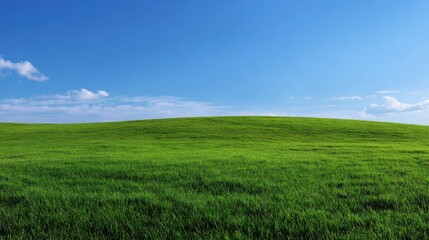 A 4K photo of large green field with no visible objects.